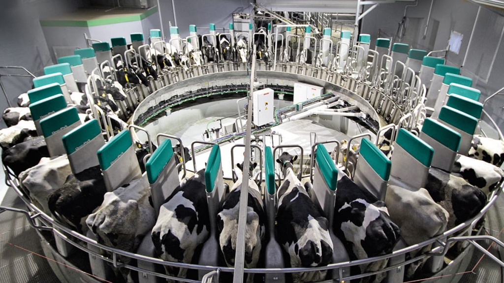 DairyProQ.jpg
