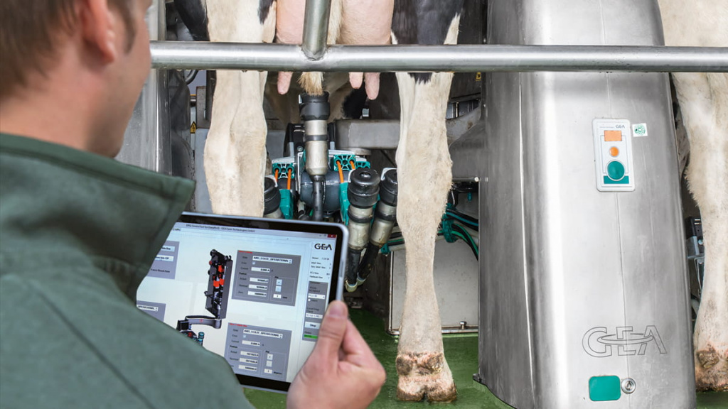 DairyProQ