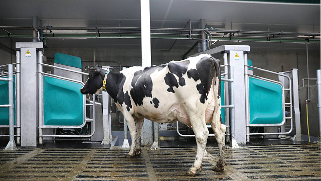DairyRobot R9500
