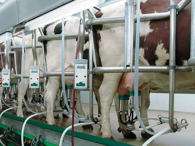 Dairy Plan C21