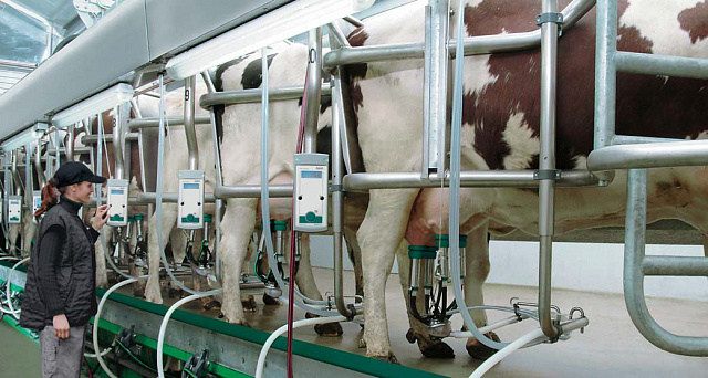 Dairy Plan C21