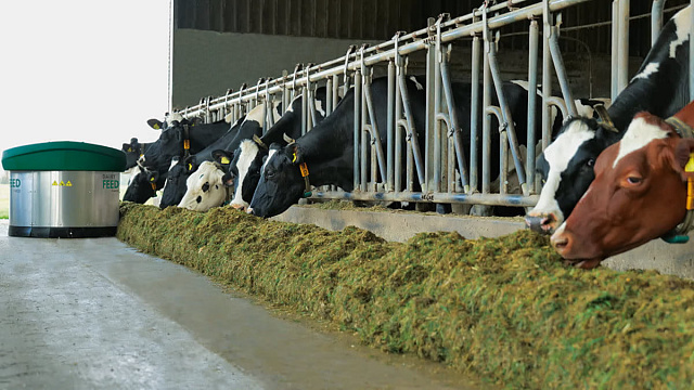 Подталкиватель кормов – DairyFeed F4800
