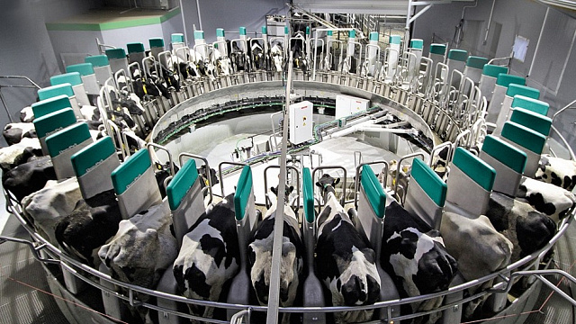 DairyProQ