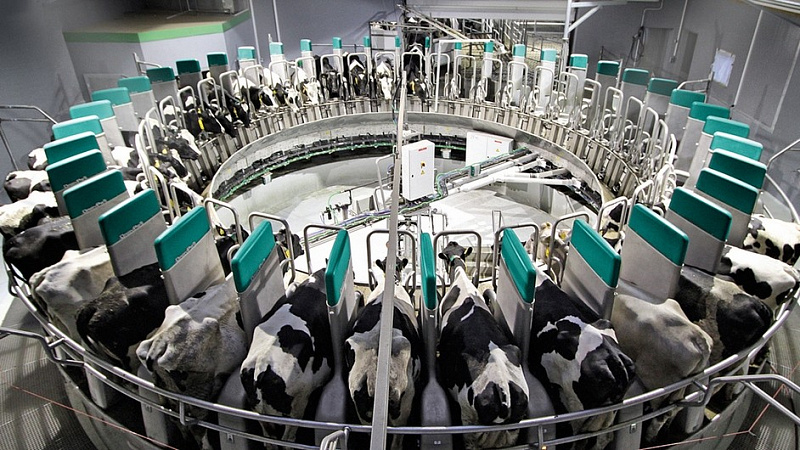 DairyProQ