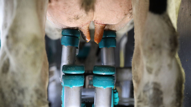 DairyRobot R9500