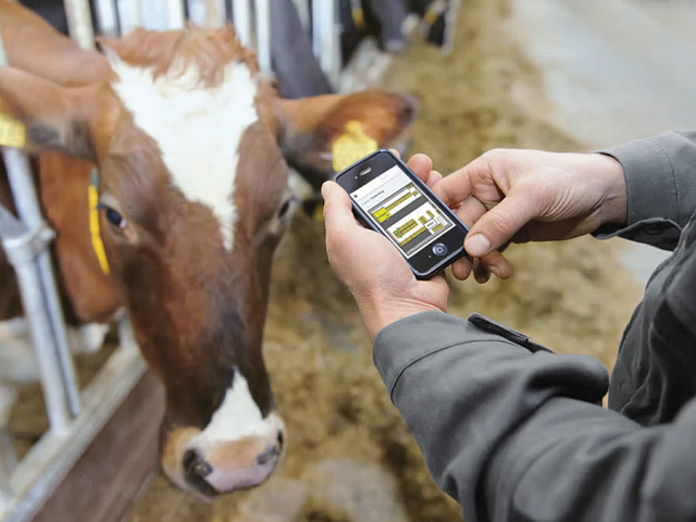 GEA CowScout